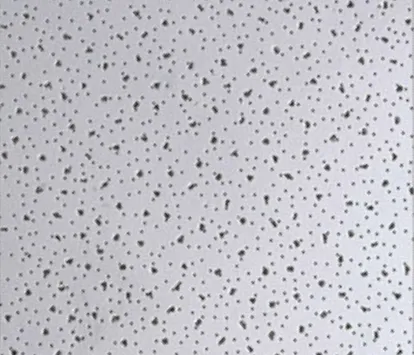 Hexa (BioSafe) ceiling tile